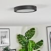Isela Plafoniera LED Nero, 1-Luce