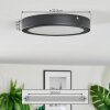 Isela Plafoniera LED Nero, 1-Luce