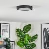Isela Plafoniera LED Nero, 1-Luce
