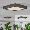 Isela Plafoniera LED Nero, 1-Luce