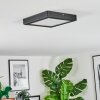 Isela Plafoniera LED Nero, 1-Luce