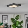 Isela Plafoniera LED Nero, 1-Luce