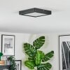 Isela Plafoniera LED Nero, 1-Luce