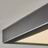Isela Plafoniera LED Nero, 1-Luce
