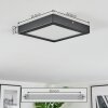 Isela Plafoniera LED Nero, 1-Luce