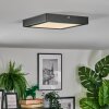 Isela Plafoniera LED Nero, 1-Luce