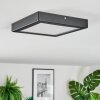 Isela Plafoniera LED Nero, 1-Luce