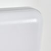 Gilan Lampada da parete per esterno, Applique LED Argento, 1-Luce