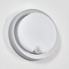 Jelad Lampada da parete per esterno, Applique LED Argento, 1-Luce, Sensori di movimento