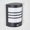 Heran Lampada da parete per esterno, Applique LED Nero, 1-Luce, Sensori di movimento