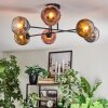 Ripoll Plafoniera, Lampada a sfera Cromo, Oro, Chiaro, Ramato, Grigio fumo, 6-Luci