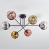 Ripoll Plafoniera, Lampada a sfera Cromo, Oro, Chiaro, Ramato, Grigio fumo, 6-Luci