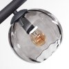Koyoto Plafoniera, Lampada a sfera Grigio fumo, 8-Luci