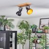 Hagan Plafoniera, Faretto da soffitto Cromo, Écru, Nero, 2-Luci