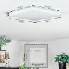 Loden Plafoniera LED Bianco, 1-Luce
