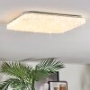 Loden Plafoniera LED Bianco, 1-Luce