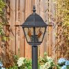 Naofe Illuminazione viale Nero, 1-Luce