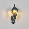 Naofe Lampada da parete per esterno, Applique Verde, Nero, 1-Luce, Sensori di movimento