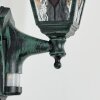 Naofe Lampada da parete per esterno, Applique Verde, Nero, 1-Luce, Sensori di movimento