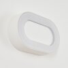 Paleroo Applique da esterno LED Bianco, 1-Luce