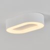 Paleroo Plafoniera da esterno LED Bianco, 1-Luce