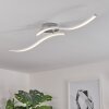 Mohlin Plafoniera LED Nichel, Bianco, 2-Luci