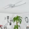 Correas Plafoniera LED Alluminio, 2-Luci