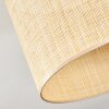 Sabadim Plafoniera beige, Écru, 1-Luce