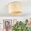 Sabadim Plafoniera beige, Écru, 1-Luce