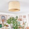 Sabadim Plafoniera beige, Écru, 1-Luce
