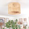 Cavaca Plafoniera Écru, 1-Luce