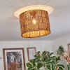 Cando Plafoniera Écru, 1-Luce