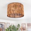 Cando Plafoniera Écru, 1-Luce