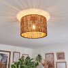 Cando Plafoniera Écru, 1-Luce