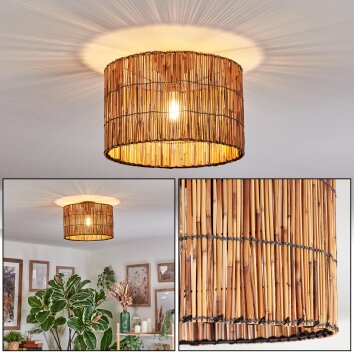 Cando Plafoniera Écru, 1-Luce