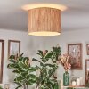 Bongal Plafoniera beige, Écru, 1-Luce