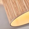 Bongal Plafoniera beige, Écru, 1-Luce
