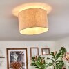 Bassagoda Plafoniera beige, Bianco, 1-Luce