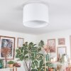 Soungou Plafoniera Bianco, 1-Luce