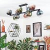 Gastor Plafoniera, Lampada a sfera Blu, Verde, Chiaro, Ramato, 10-Luci
