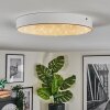 Elmar Plafoniera, Panel LED Bianco, 1-Luce