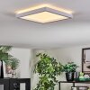Xarel Plafoniera, Panel LED Bianco, 1-Luce