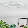 Xarel Plafoniera, Panel LED Bianco, 1-Luce