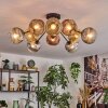 Ripoll Plafoniera, Lampada a sfera Oro, Chiaro, Ramato, Grigio fumo, 10-Luci