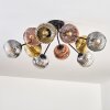 Ripoll Plafoniera, Lampada a sfera Oro, Chiaro, Ramato, Grigio fumo, 10-Luci