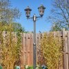 Lignac Lampione multibraccia, Illuminazione viale Nero, Argento, 2-Luci