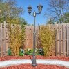 Lignac Lampione multibraccia, Illuminazione viale Nero, Argento, 2-Luci
