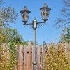 Lignac Lampione multibraccia, Illuminazione viale Nero, Argento, 2-Luci