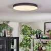 Elmar Plafoniera, Panel LED Nero, 1-Luce
