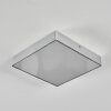 Esmar Plafoniera, Panel LED Argento, 1-Luce